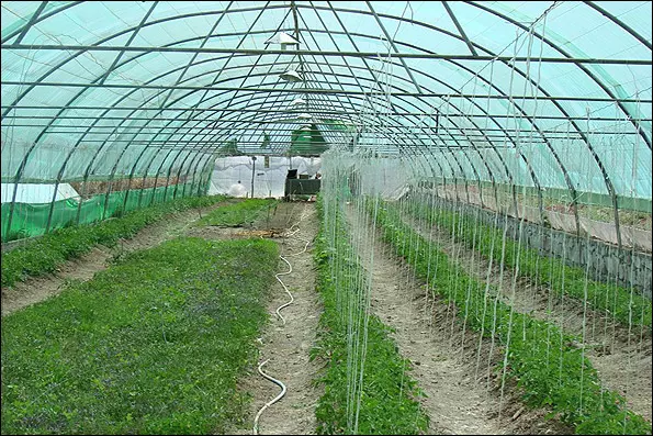 نقش کشاورزی هوشمند در کاهش آثار منفی تغییرات اقلیمی
