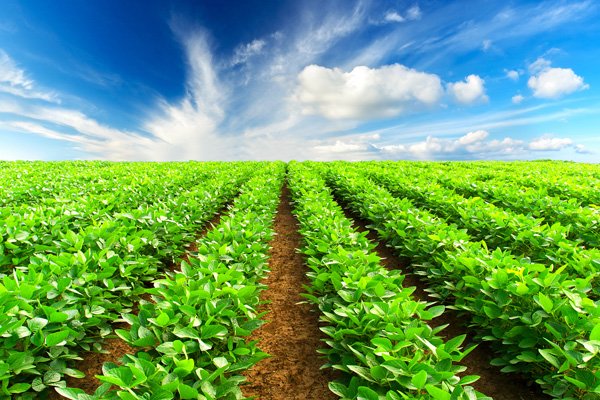 کشاورزی مدرن و توازن میان توسعه و حفظ منابع طبیعی