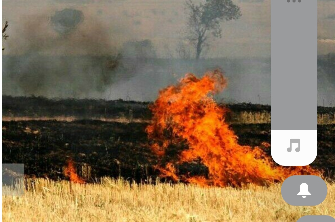 آتش سوزی در مزارع